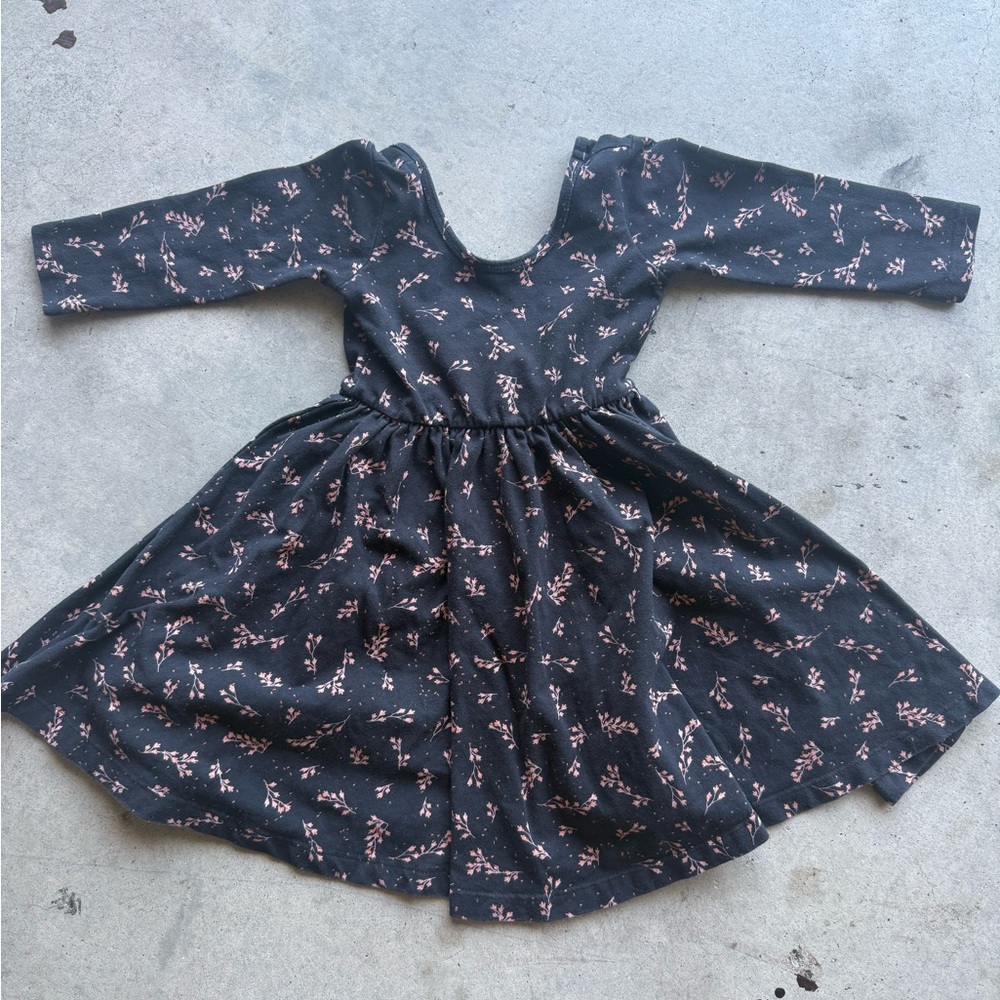 Alice + Ames Bebe Meadow Ballet Dress